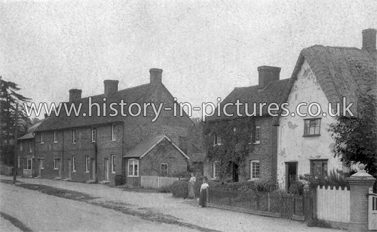 The Street, Quendon, Essex. c.1905